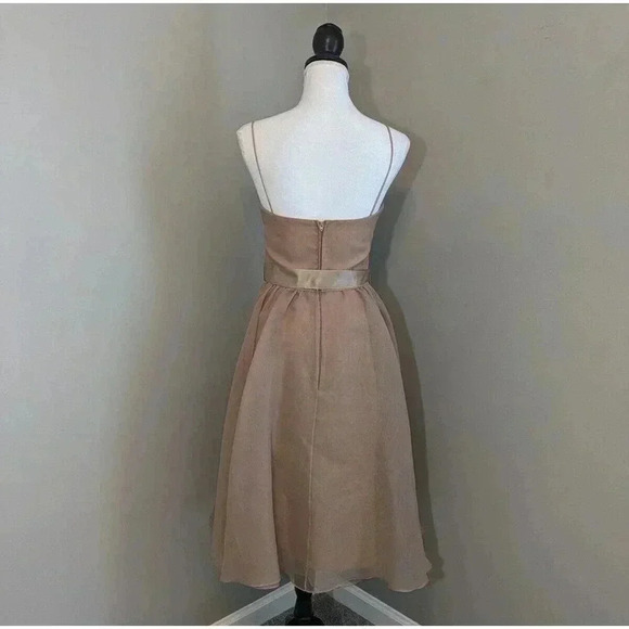 Vintage Lillie Rubin Light Brown Tan Mesh Ruffle Dress Coquette Romantic Twee - Picture 4 of 16